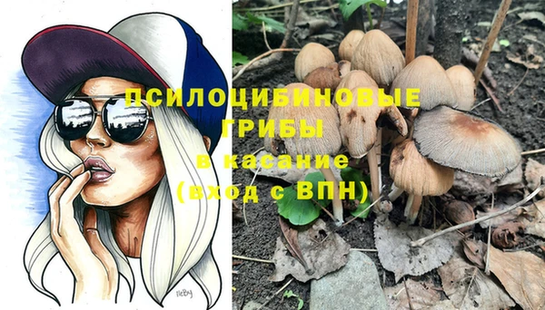 трава Лихославль