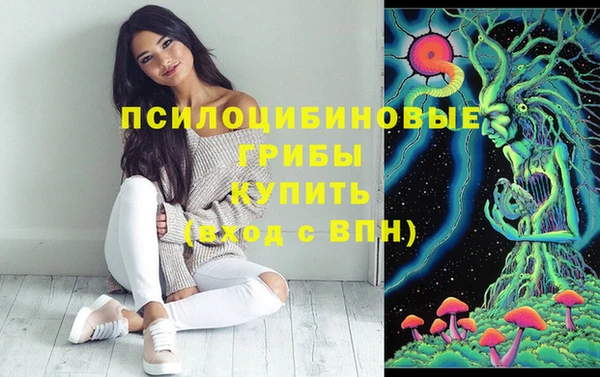 прущий лед Лиски