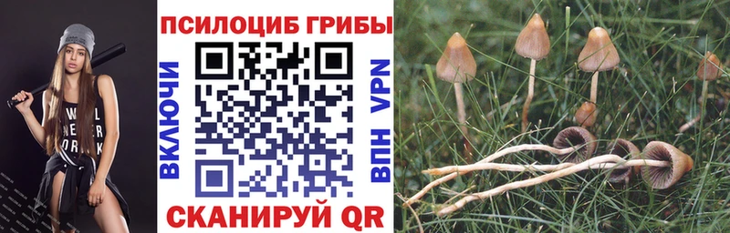 Псилоцибиновые грибы ЛСД Мичуринск