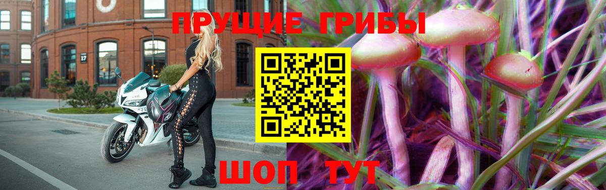 Галлюциногенные грибы Psilocybe Мичуринск