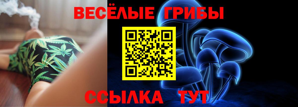 Мичуринск  Псилоцибиновые грибы мицелий  Вход с VPN  Галлюциногенные грибы MAGIC MUSHROOMS 