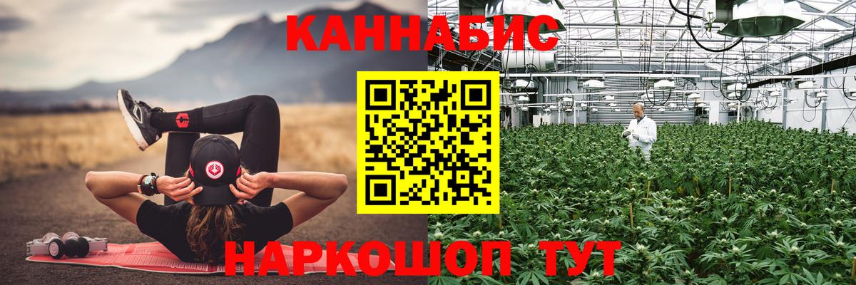 МАРИХУАНА White Widow  Шишки марихуана AK-47  Мичуринск  Каннабис OG Kush  Конопля Bruce Banner 